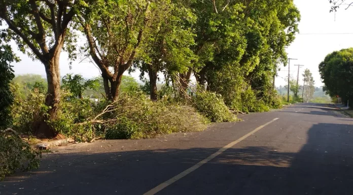 Vento de mais de 60 km/h destelha casas e derruba árvores, em Dracena Por g1 Prudente Chuva com rajadas de vento de mais de 60 km/h causaram estragos, na noite de ontem (26), em diversos bairros de Dracena. Segundo a Defesa Civil, a chuva durou cerca de 20 minutos, porém, as fortes rajadas de vento ocasionaram quedas de árvores nos bairros São Francisco e Jardim Fioravante. No prolongamento da Avenida Presidente Roosevelt, houve a queda de quatro árvores, o que causou o bloqueio do tráfego de veículos no local. Na mesma via, três casas ficaram completamente destelhadas. Já no bairro Santa Clara, a Defesa Civil também registrou outra residência que ficou totalmente sem telhas. A Defesa Civil ainda informou ao g1 que houve queda de energia no Centro, rompimento da rede elétrica no Jardim Vera Cruz e a concessionária Elektro, responsável pela energia elétrica do município, estava no local realizando a manutenção. A equipe de limpeza pública da Defesa Civil e o Corpo de Bombeiros foram acionados para atender as ocorrências. Não houve feridos. A Defesa Civil ressaltou ao g1 que o tráfego de veículos foi liberado após três horas e meia de limpeza. O g1 solicitou um posicionamento oficial da Elektro sobre a queda de energia e rompimento da rede elétrica e, até a última atualização desta reportagem, às 12h18 de hoje, 27, não havia uma resposta.