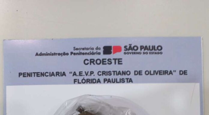 Drogas são apreendidas com visitantes nas penitenciárias de Flórida e Venceslau