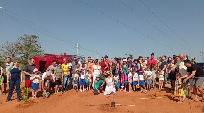 Área Verde do Distrito Comercial Joaquim Martins recebe plantio de mudas de árvores