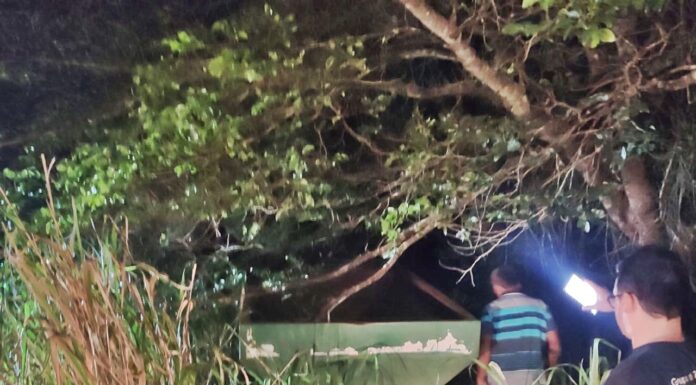 Homem é preso por receptação de implementos agrícolas furtados na região