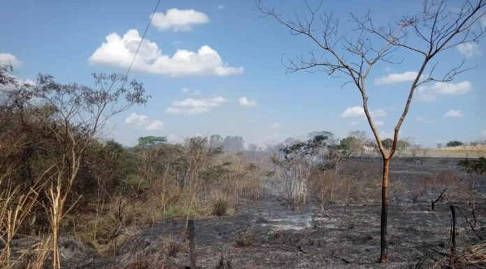 Incêndio atinge margem da SP-294 entre Adamantina e Flórida Paulista