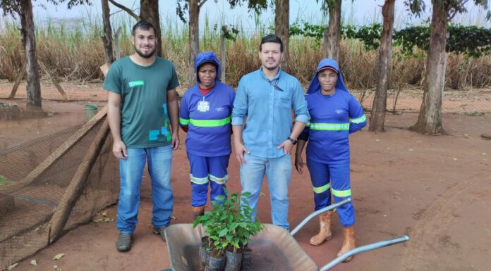 Meio Ambiente recebe mudas de árvores símbolo do Brasil por meio de doação