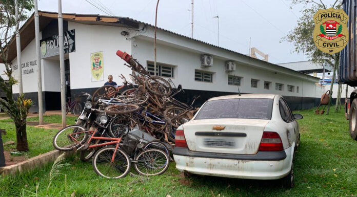 Polícia Civil promove destinação de veículos apreendidos em Rosana e Primavera