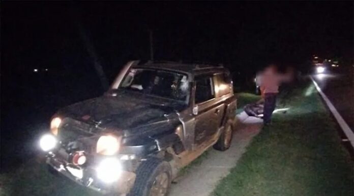 Cavalo na pista provoca três acidentes e deixa duas pessoas feridas na SP-457 em Bastos