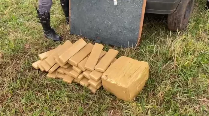 Casal é preso com quase 150 quilos de maconha na SP-284 em João Ramalho