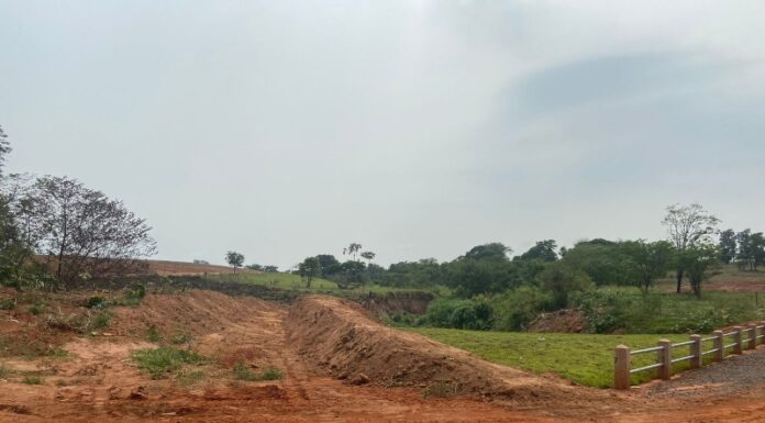 Agronegócio realiza manutenção em estradas rurais de Dracena