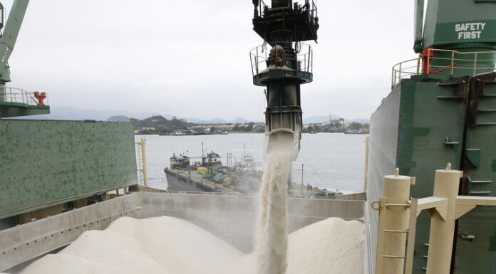 Setor sucroalcooleiro tem maior participação nas exportações do agro de SP