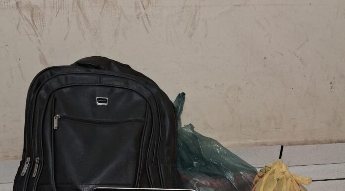 Dois homens são presos acusados de furto em residência em Panorama