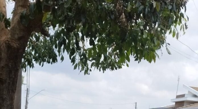 Polícia Civil esclarece furto de veículo ocorrido em Junqueirópolis