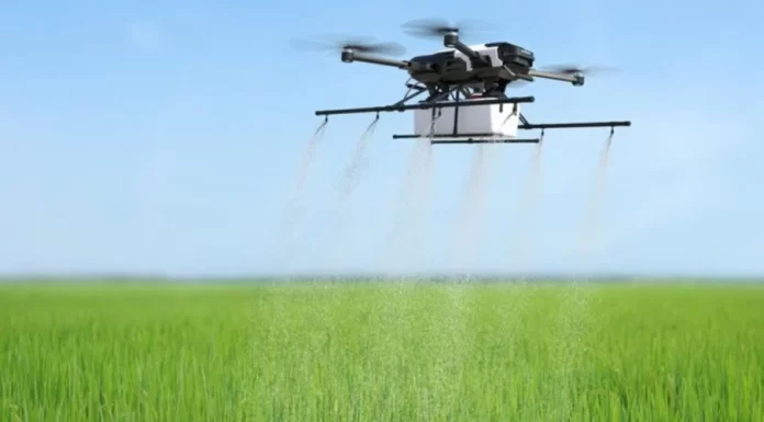 Como a tecnologia está revolucionando o controle de plantas daninhas no pasto