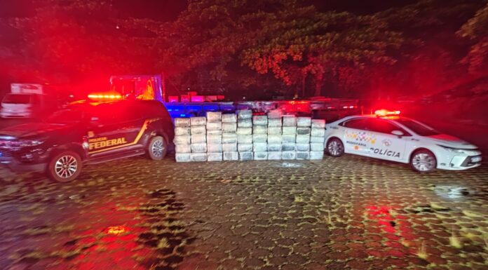 Mais de 1,3 mil quilos de maconha são apreendidos na SP-294 em Adamantina