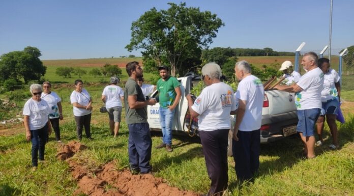 Área verde do Florindo Tabacchi recebe 500 mudas de árvores nativas