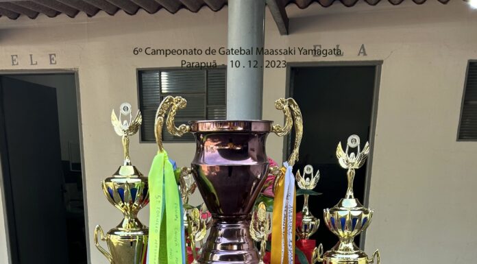 Junqueirópolis conquista 6º Campeonato de Gateball de Parapuã