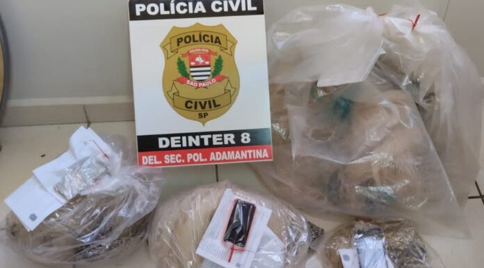 Polícia Civil desencadeia ação de combate a crimes ambientais em Lucélia