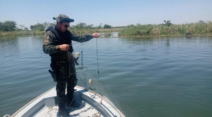 Polícia Ambiental apreende 1,7 mil metros de redes e 32kgs de peixes em Panorama