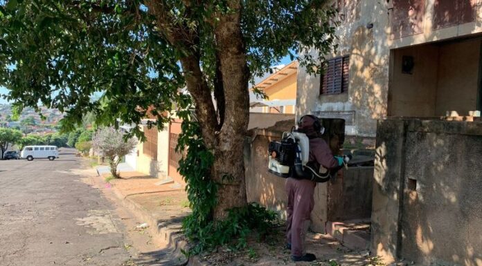 Adamantina executa Avaliação de Densidade Larvária para checar incidência do Aedes