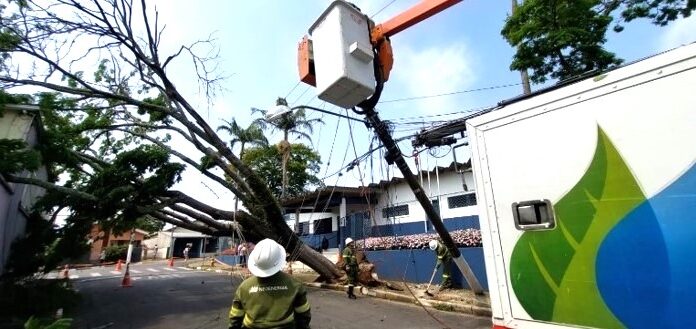 Elektro reforça orientações de segurança com a rede elétrica durante temporais