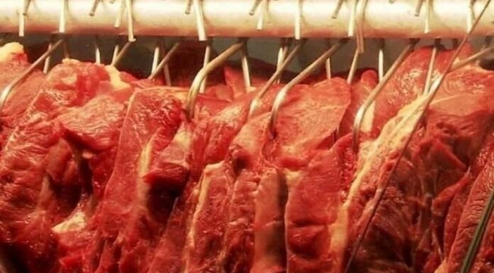 Brasil exporta mais carne bovina em volume, mas receita cai em 2023