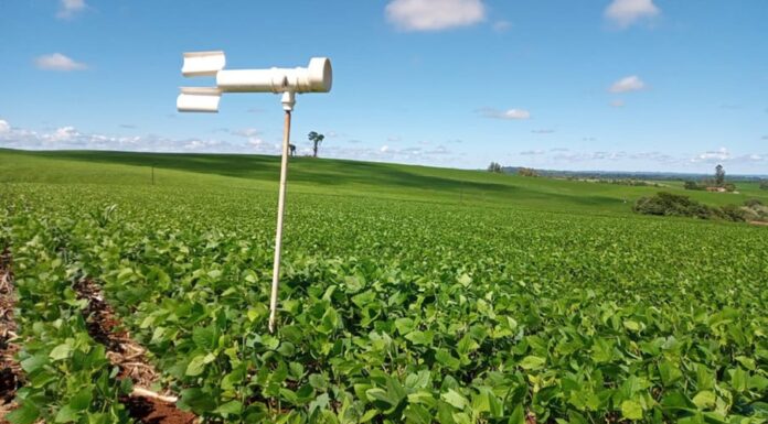 Plantio de soja da safra 2023/24 atinge 97,9% da área, informa Conab