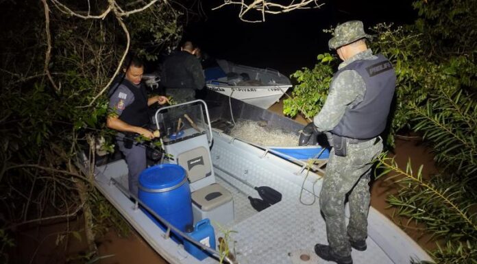 Mais de 65 kg de peixes são apreendidos no rio Aguapeí em Lucélia