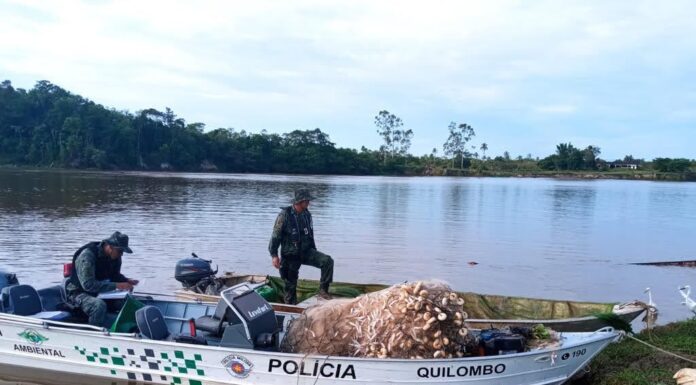 Apreensão de peixes cresce 134% durante a piracema, que encerrou nesta quarta-feira (28)
