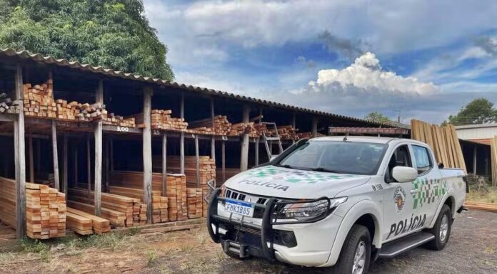 Madeireira é multada por irregularidades em dados do estoque e valores passam de R$ 22 mil em Rancharia