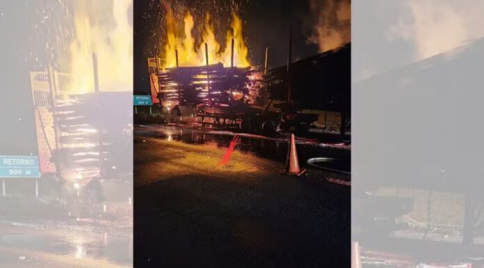 Carreta carregada com 70 toneladas de madeira pega fogo em rodovia de Bauru
