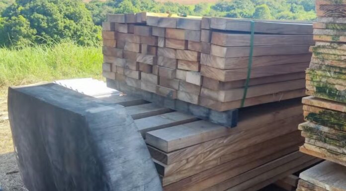 Homem é multado em R$ 4,8 mil por vender madeiras sem documentação, em Regente Feijó