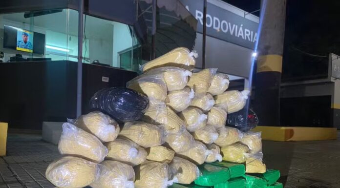 Com porções de skunk escondidas no tanque de combustível, homem é preso na Rodovia Raposo Tavares