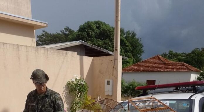 Criador de aves de Adamantina é autuado em R$ 6,9 mil