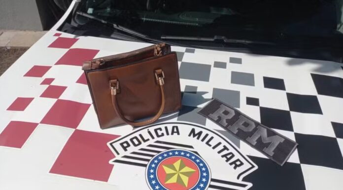 Idosa de 65 anos é presa após furtar bolsa em estabelecimento comercial, em Dracena