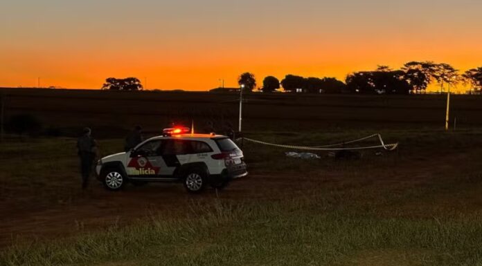 Empresário morre em queda de paramotor no interior de SP