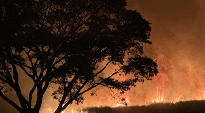 Incêndio atinge canavial e leva mais de seis horas para ser controlado em Santa Mercedes