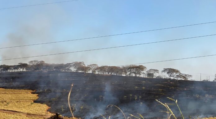 Incêndio de grandes proporções às margens da SP-294 em Flórida Paulista