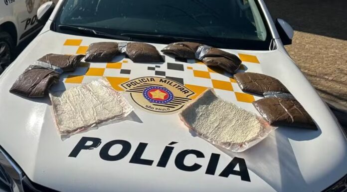 Passageiros bolivianos são flagrados com 9 kg de cocaína presos ao corpo em ônibus interestadual, em Parapuã