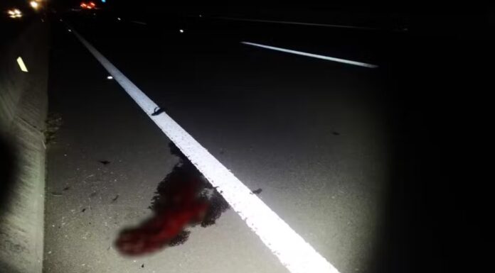 Idoso morre ao ser atropelado por carro enquanto caminhava às margens da Rodovia Assis Chateaubriand, em Pres. Prudente