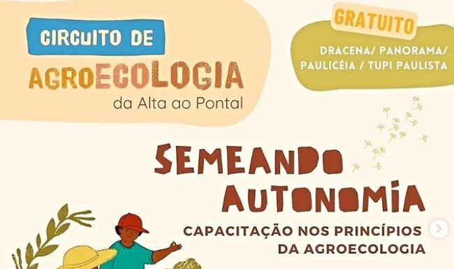 Curso gratuito “Semeando autonomia” oferece oportunidade de aprendizado e fortalecimento em rede para mulheres urbanas e rurais de Panorama.