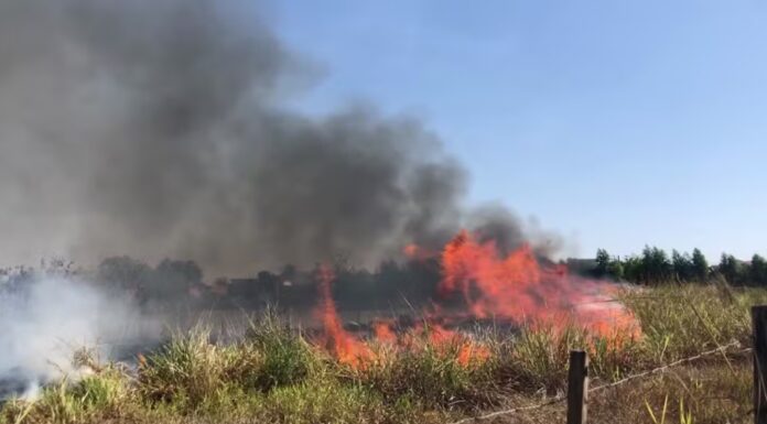 Incêndio destrói 12 hectares de área de pastagem às margens de estrada vicinal, em Osvaldo Cruz