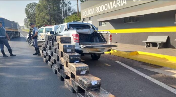 Operação conjunta apreende caminhonete carregada com carga de quase 1 tonelada de maconha em Pirapozinho