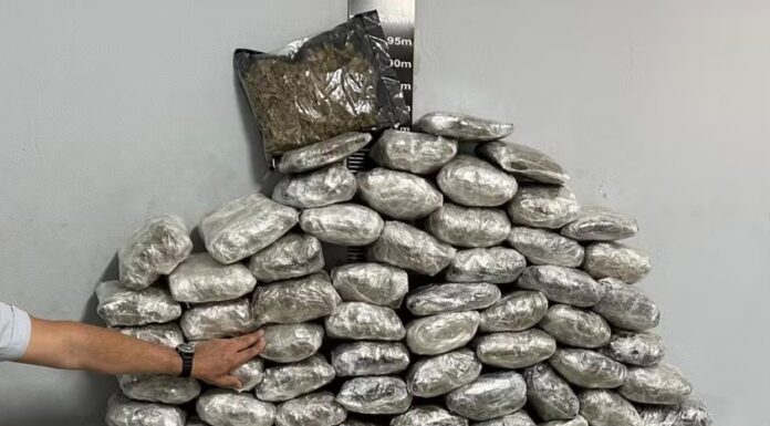 Motorista é preso após ser flagrado com 111kg de skank e haxixe escondidos em carga de mudança, em Presidente Prudente