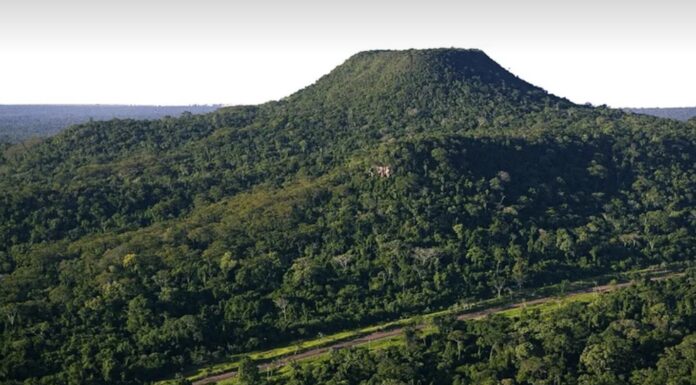Parques Estaduais no Oeste Paulista fecham temporariamente para visitação devido ao alto risco de incêndio na região