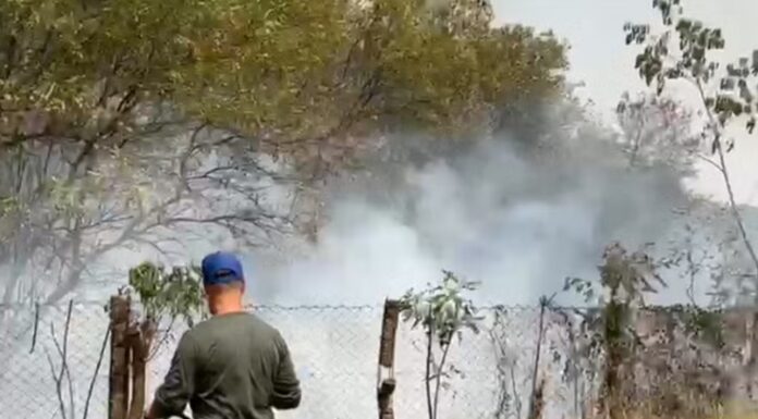 Incêndio de grandes proporções atinge dois bairros e uma Área de Preservação Permanente, em Dracena