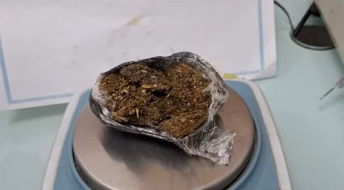 Visitantes são flagradas com faca e porções de maconha durante revista corporal em penitenciárias do Oeste Paulista