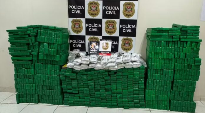 Polícia Civil apreende quase uma tonelada de maconha, skank e haxixe em veículos, em Mirante do Paranapanema