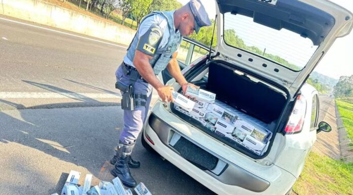 Com 6 mil maços de cigarros sem documentação fiscal, idoso é preso na Rodovia Assis Chateaubriand
