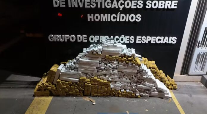 Caminhoneiro é preso ao transportar mais de 1,5 tonelada de maconha na Rodovia Raposo Tavares, em Presidente Bernardes