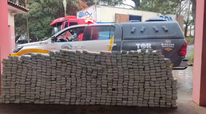 Motorista esconde quase 700 tabletes de maconha em fundo falso de teto de caminhão e acaba preso em Regente Feijó
