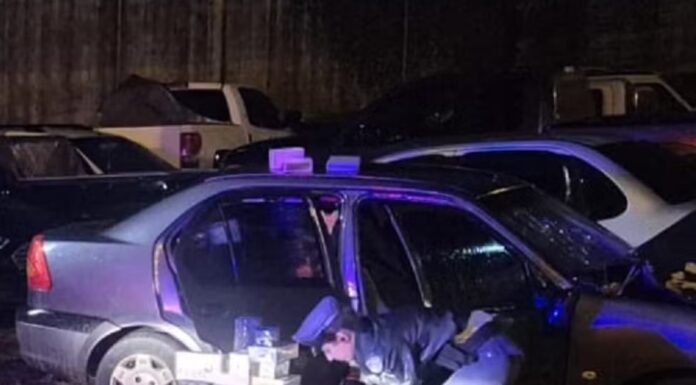 Com carga avaliada em R$ 15 mil, homem atropela boi, é abordado pela polícia e acaba preso por descaminho em Estrela do Norte