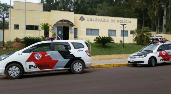 Uma mulher e o filho tem carro apreendido por sinais de adulteração nas placas e no chassi, em Indiana
