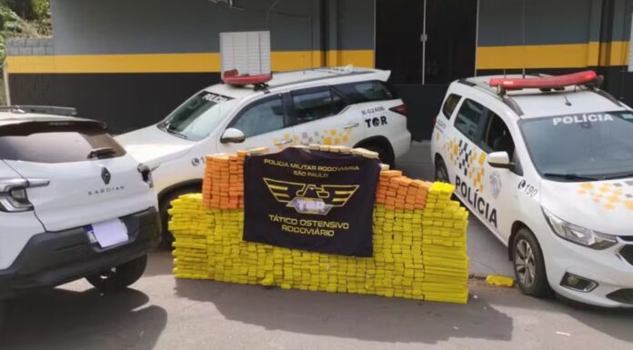 Polícia Rodoviária prende homem com quase uma tonelada de maconha em rodovia de Penápolis